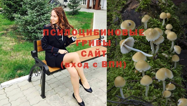 трава Алзамай