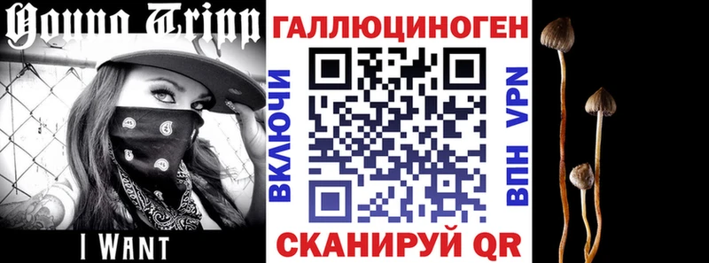 kraken вход  Николаевск  Галлюциногенные грибы мухоморы 