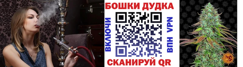 купить закладку  Николаевск  hydra   Каннабис OG Kush 